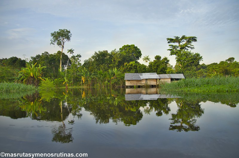 Amazonía peruana (Gamboa) desde Leticia - Palmeando por COLOMBIA (13)