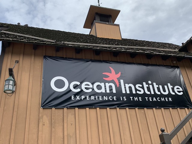 Ocean Institute Dolphin Cruise, Dana Point, CA during April, 2019