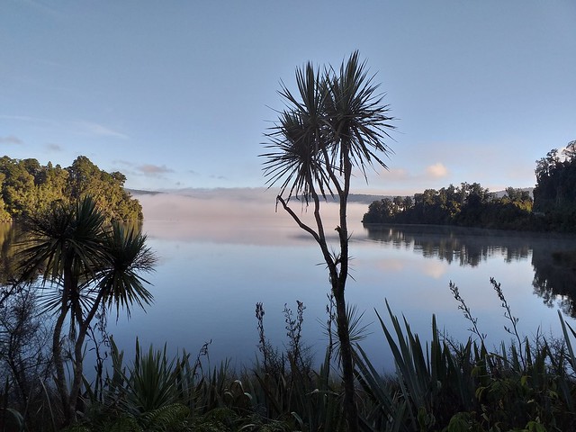Morning_light_fog_Lake Mapourika