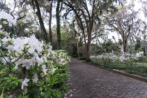 Alfred B. Maclay Gardens State Park, Tallahassee, Fla., March 2019 | by JenniferHuber