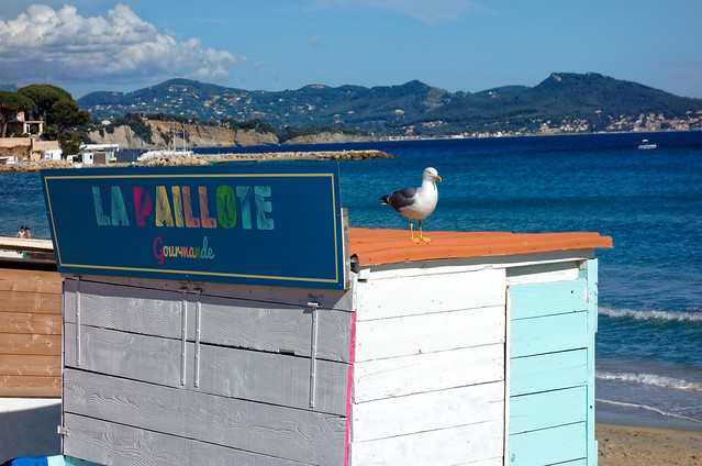 La Ciotat beach / La paillotte et le goéland / The hut and seagull