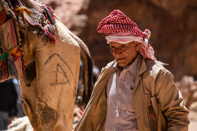 The old man and his camel