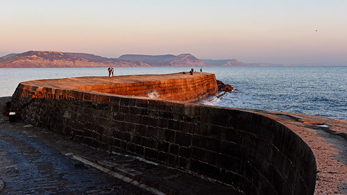 thecobb lymeregis dorset jurassiccoast sunset coast wall thegoldenhour harleynikridesagain
