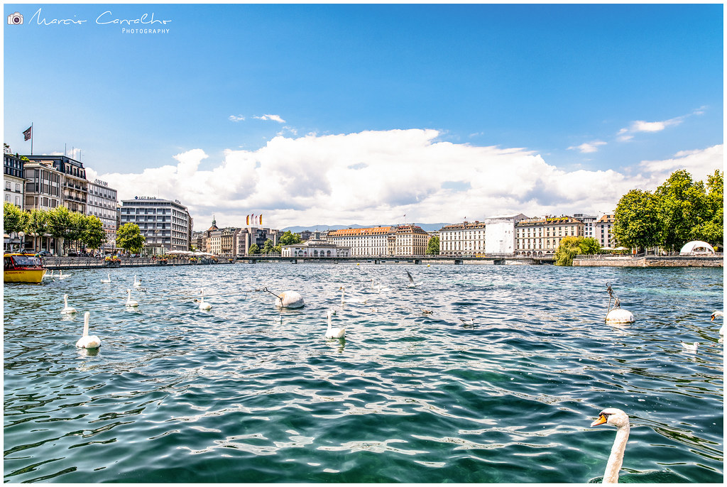 Geneva lake front - The swan lake - D85_1222 hdr