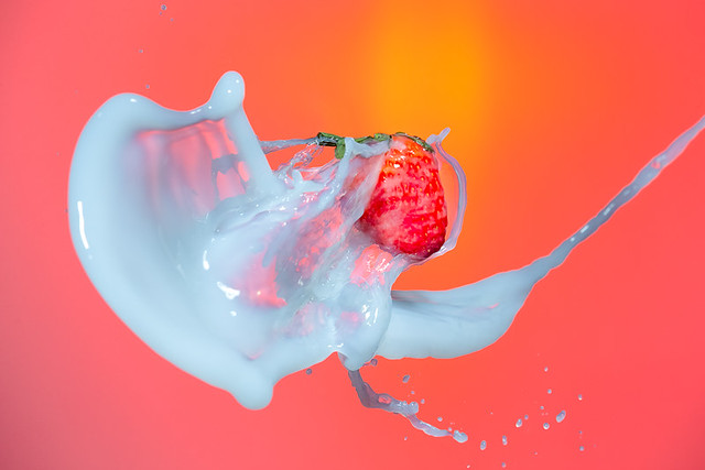 Food Splash Photography. Milk Spills Pouring Around Strawberry. Against Red Background
