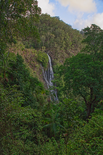 australia queensland sunshinecoast montville flaxton blackallrange kondilillafalls water waterfall trees forest rainforest