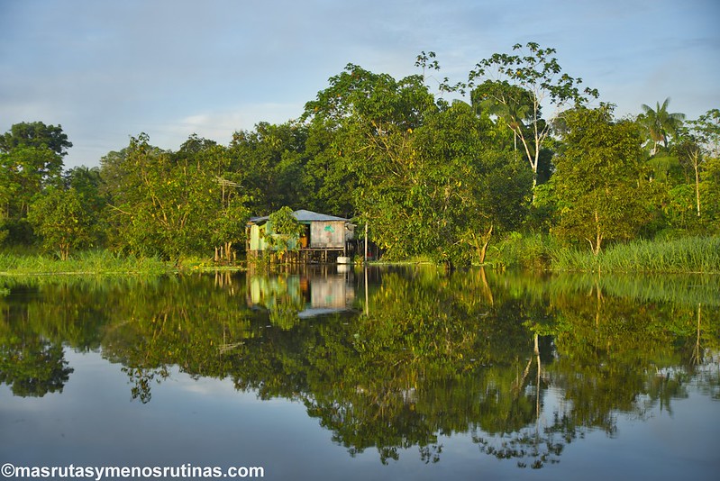 Leticia y la Amazonía colombiana - Palmeando por COLOMBIA (2)