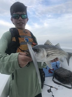 Photo of boy holding up a striped bass for a quick picture 