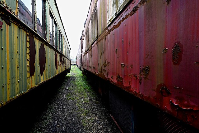 Rusting Railcars