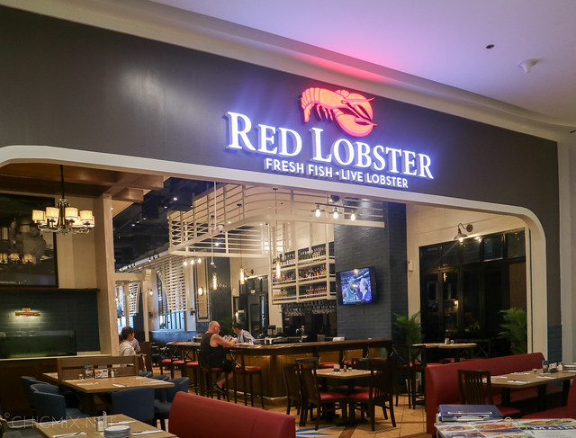 red lobster s maison (13 of 24)
