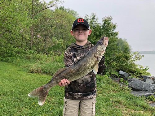 Photo of boy with a large walleye 
