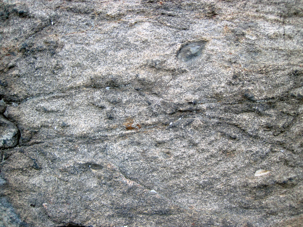 Metagraywackes (Chelmsford Formation, Paleoproterozoic, 1.74 Ga; Larchwood North outcrop, Sudbury Impact Structure, Ontario, Canada) 36