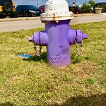 A Fire Hydrant at Dothan Regional Airport 