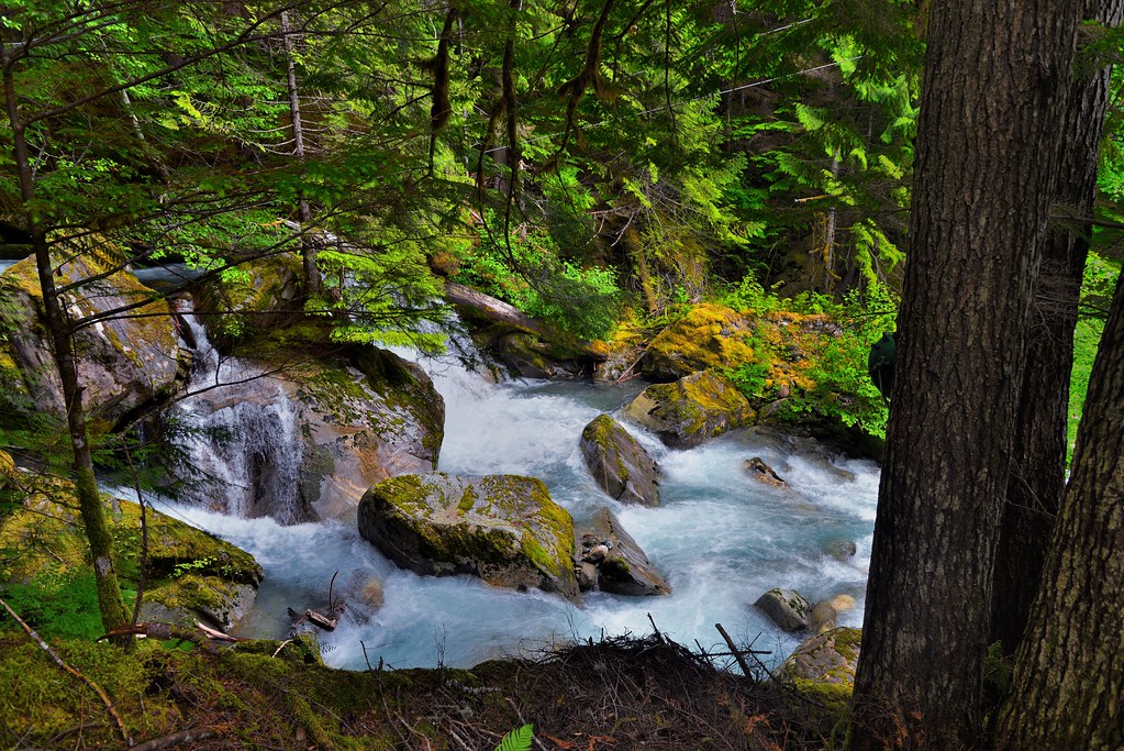 Rapids of Ladder Creek (North Cascades National Park Service Complex)