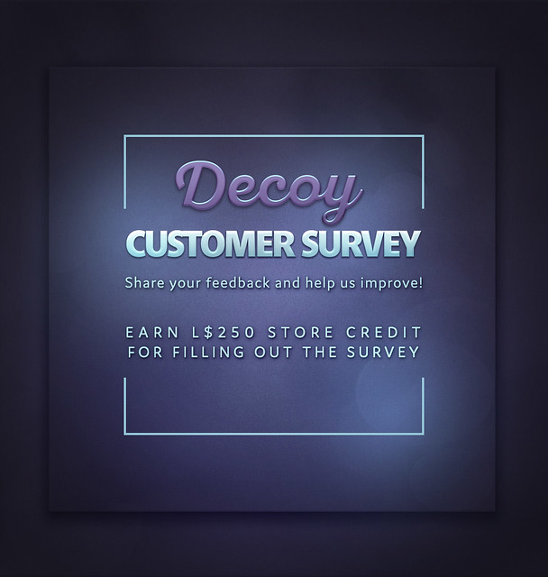 Decoy Customer Survey 2019