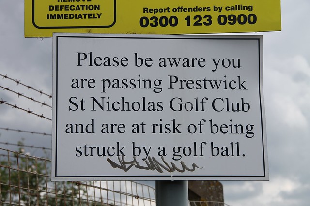 Beware Golf Balls!