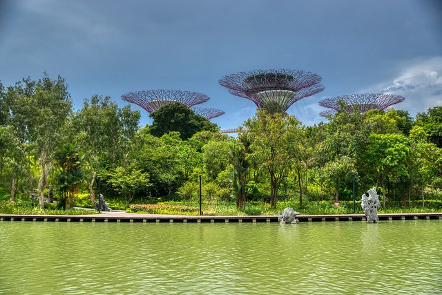 Dragonfly lake and Supertrees in the Gardens by the Bay in Singapore
