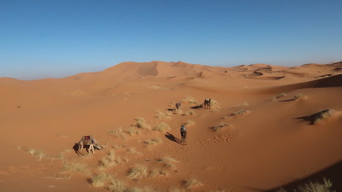 desert africa morocco sahara saharadesert