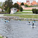 foto: Česká Federace Stand Up Paddle