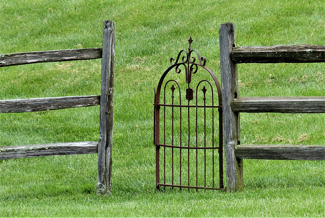 Rail fence and iron gate
