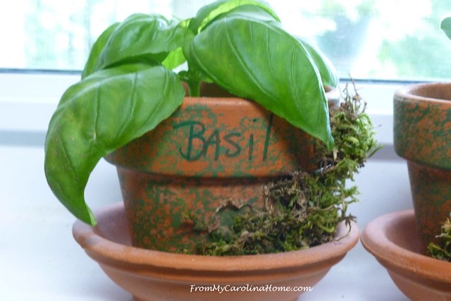 Mossy Planters at FromMyCarolinaHome.com