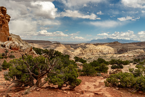 national utah desert outdoor spring landscape us capital reef mountain pennel overlook can sony ilce7rm3 sonyalphadslr explore 7rm3