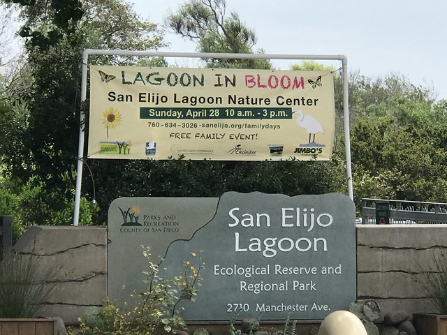 Family Discovery Day Lagoon in Bloom