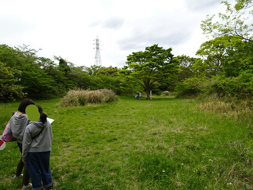 横浜自然観察の森で野鳥観察　ハイキングコース