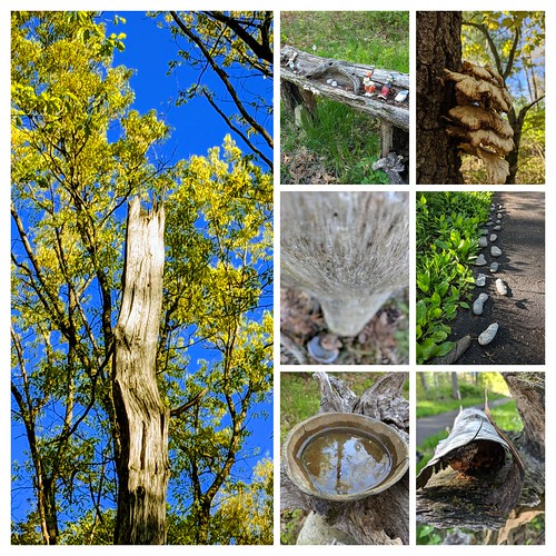 Nature Trail Feldgang Walk
