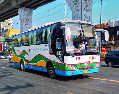Dominion Bus Lines 8081 | by k_canchila
