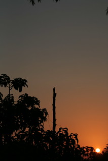 Sonnenaufgang in Palenque