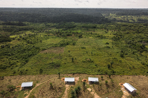 forets forests basecamp drone landscape rainforests tropicalforests aerialview aerial deforestation yangambi tshopo drcongo