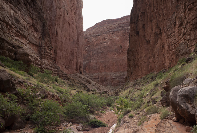 Buckfarm canyon