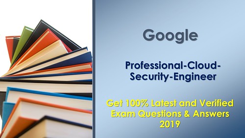 New Professional-Cloud-Security-Engineer Exam Pattern