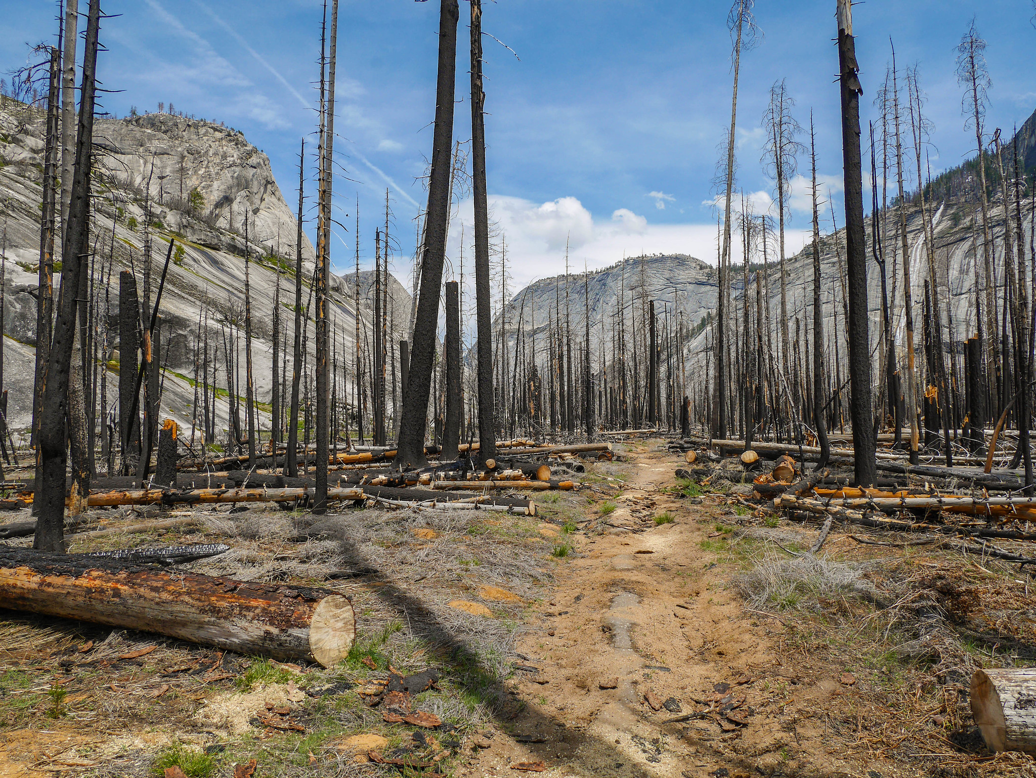 Burned areas in Little Yosemite Valley are somewhat apocalyptic but let you see the canyon