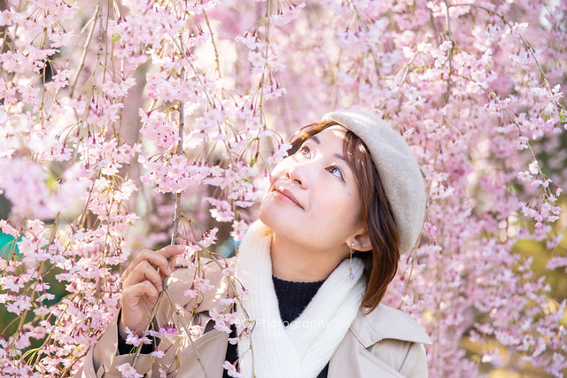 Sakura Portrait.