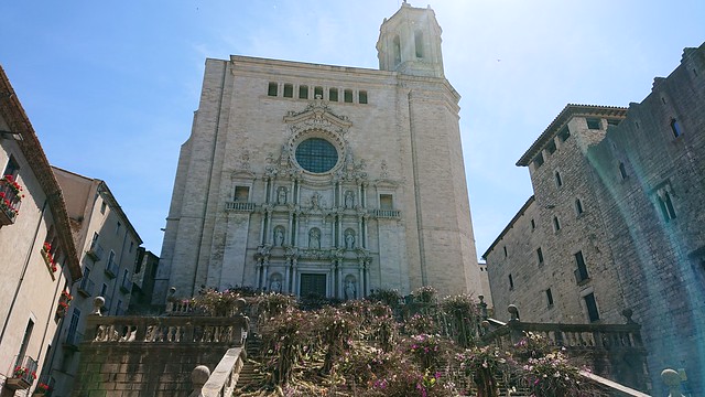 Girona Cathedral - Plaça de la Catedral, Girona - Temps de Flors 2019: El bosc de les flors