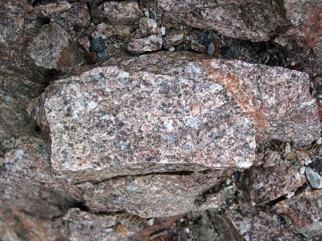 Porphyritic granodiorite (Mission Stock, Archean; Michipicoten River Bridge South roadcut, south of Wawa, Ontario, Canada) 2