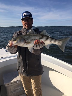 Photo of man holding a nice striped bass