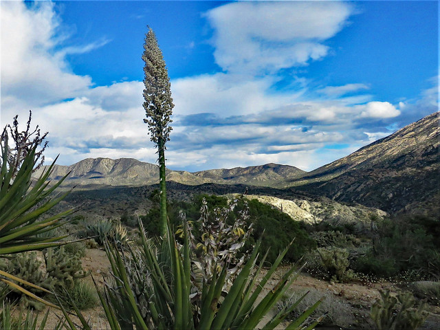 Desert Vistas , Santa Rosa Mountains, California