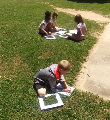 Kids observe in their small squares in grass - 2