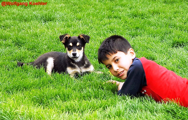 Boy of Kyrgyzstan with his beloved dog