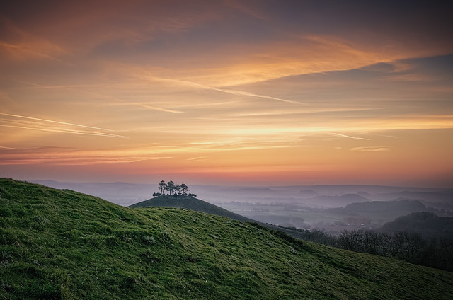 Colmers Hill - Approaching Sunrise