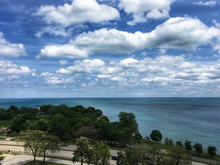 Promontory Point in May