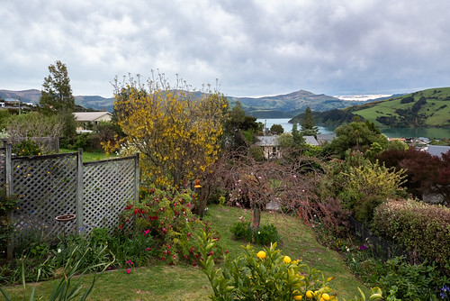 newzealand bankspeninsula akaroa scene hills akaroaharbour sea water mountians flowers lemons houses architecture car trees clouds sky