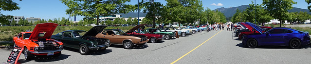 Ford Mustang gathering