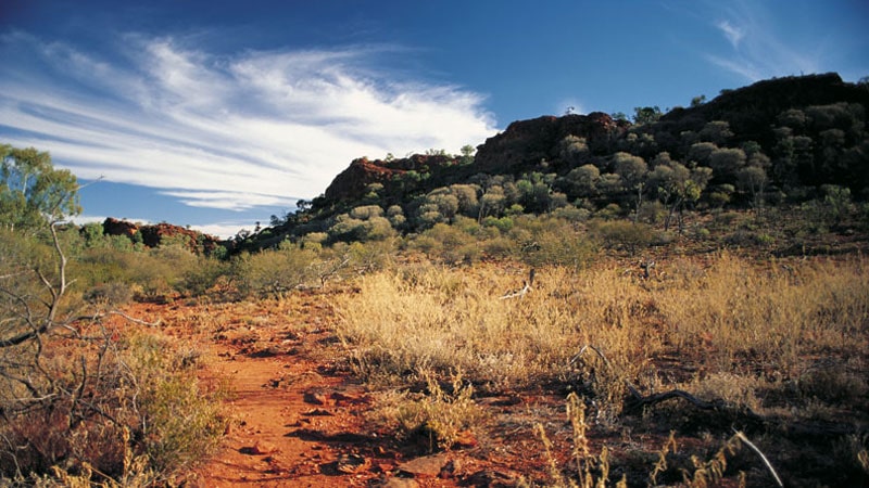 top 50 places to visit in Broken Hill