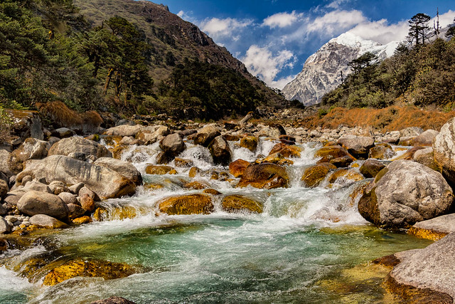 Kokchurong, Goecha La Trek, Sikkim, India