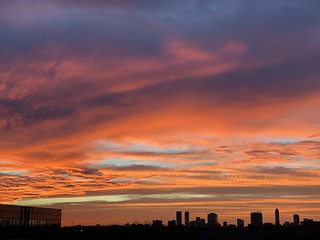 Houston Sunset