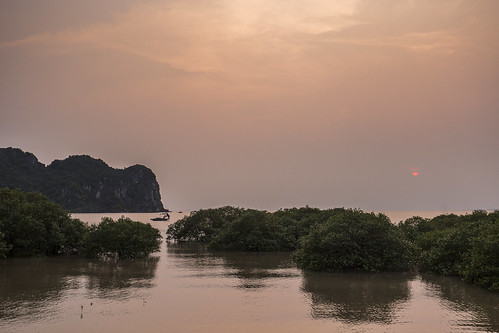 vietnam catba catbaisland pacificocean southchinasea water canon landscape nature seascape fishing sunset sun clouds reflection colorful mangroves